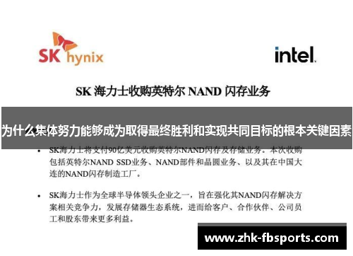 为什么集体努力能够成为取得最终胜利和实现共同目标的根本关键因素