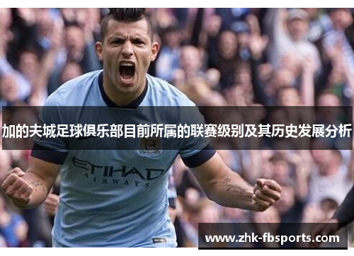 加的夫城足球俱乐部目前所属的联赛级别及其历史发展分析 加的夫城足球俱乐部目前所属的联赛级别及其历史发展分析